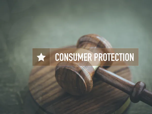 The Economics of Consumer Consent: How Regulations Reshape Business Strategies